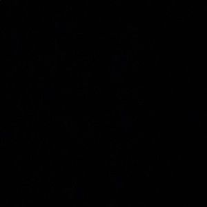 Meet your Posher, Ricky